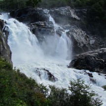 Cascada Pingo